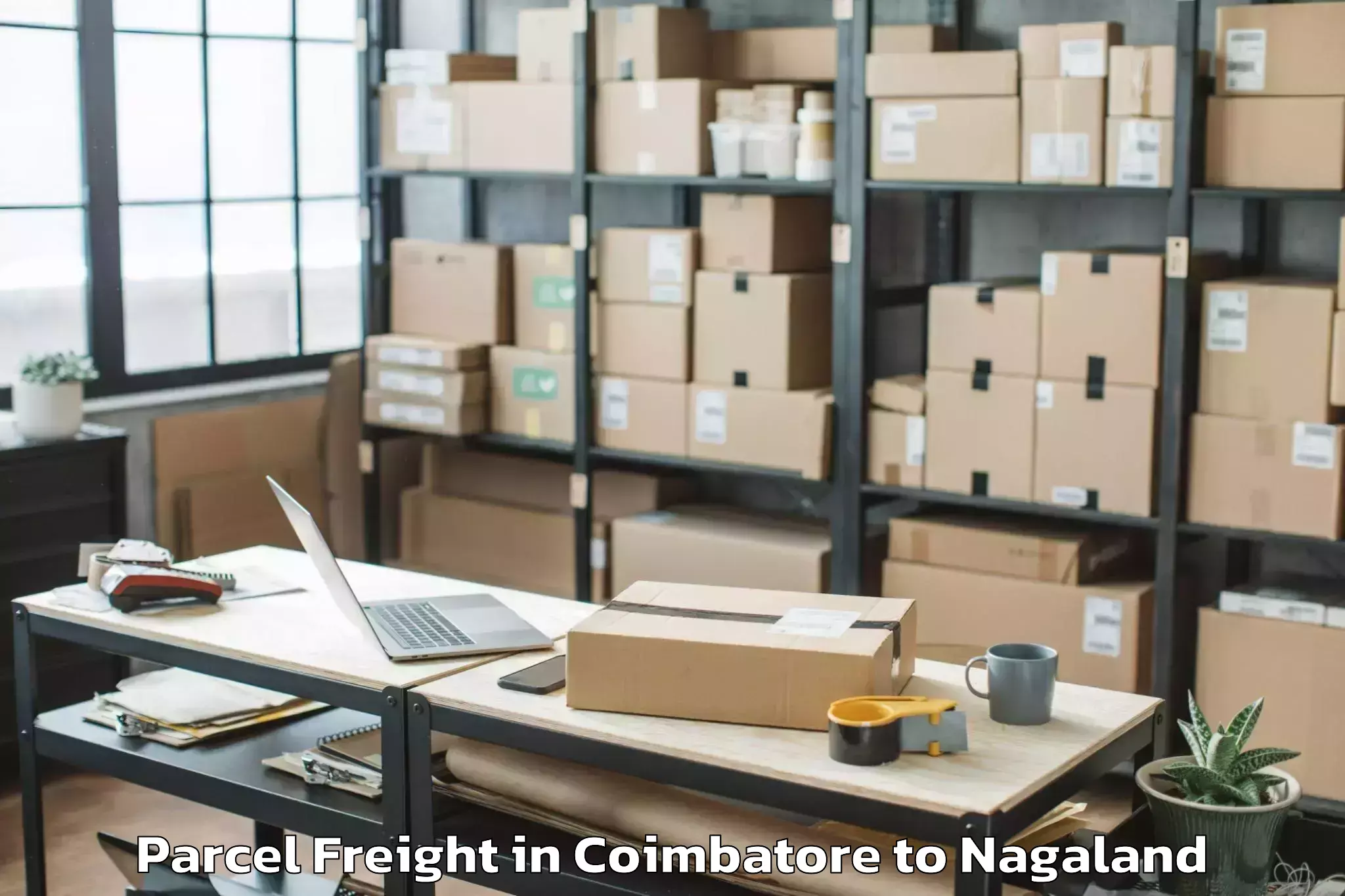 Hassle-Free Coimbatore to Noksen Parcel Freight